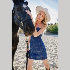 SweetHeart Denim Mini Dress